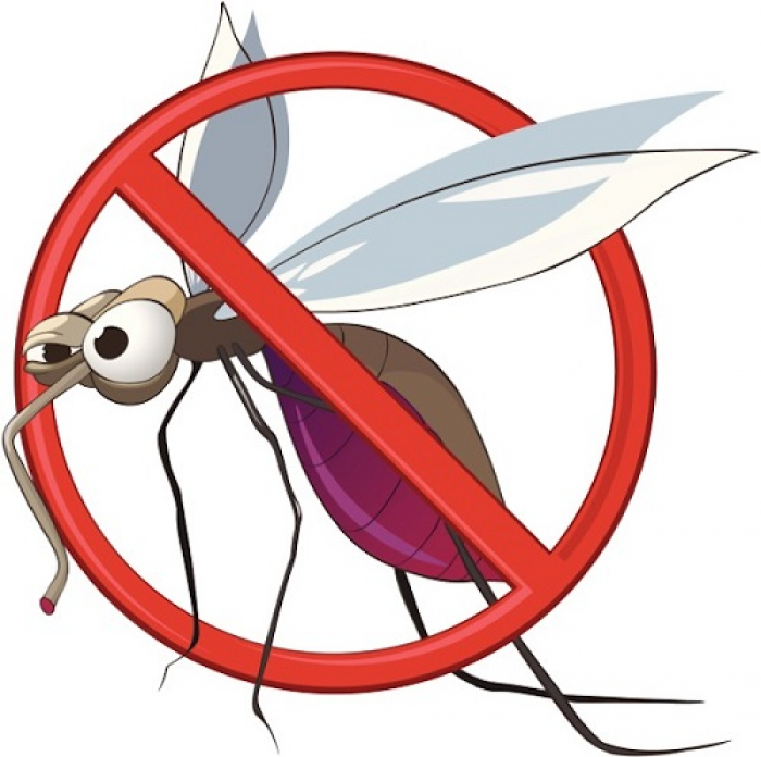 Figyelem! Tegyünk közösen a szúnyogok ellen!