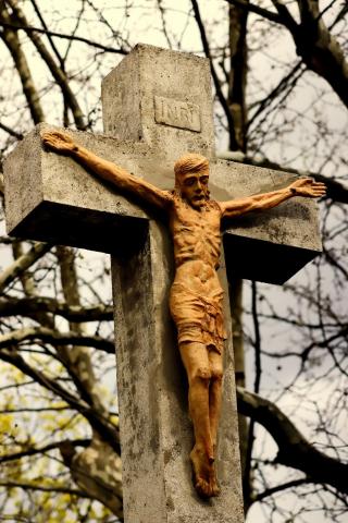 492300779 1315835057209045 5723829916814118767 n 640 480