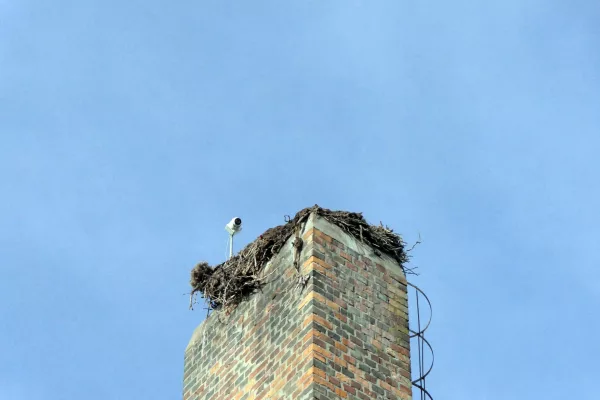 Lezuhant a Pingvines Óvoda gólyafészkének jelentős része