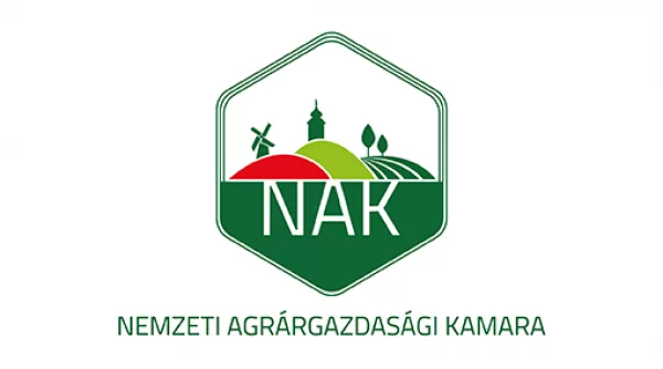 Sajtóközlemény