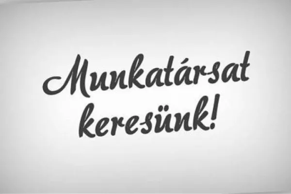 Munkalahetőség! ‼️‼️‼️