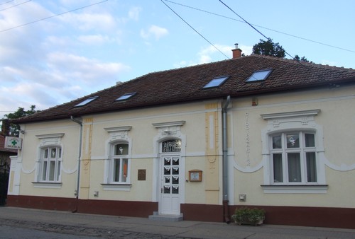 Csontos patika csontos patika