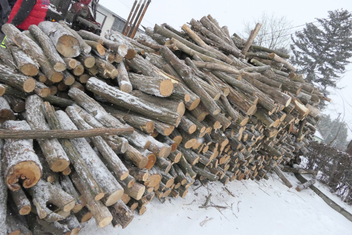 Tűzifa támogatás Abonyban – több mint 140 köbméter akác tűzifa érkezett a városba