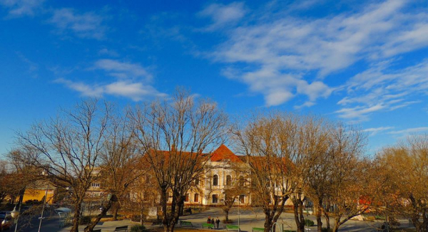 Képviselő- testületi ülés