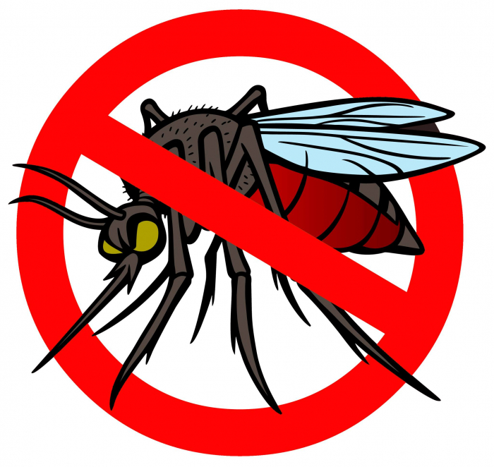 Figyelem! szúnyoggyérítés