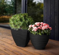 Tegyük szebbé az udvarunkat!