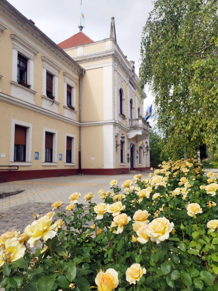 Ideiglenes bizottságokról született döntés