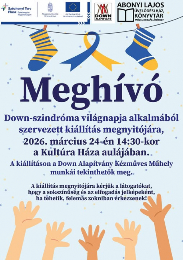 DOWN Világnap meghívó