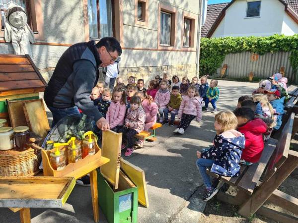 Méhek napja a Gyöngyszemek Óvodában