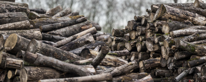 LAKOSSÁGI FELHÍVÁS- Állami tulajdonú tűzifa igénylése
