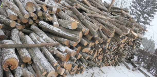 Tűzifa támogatás Abonyban – több mint 140 köbméter akác tűzifa érkezett a városba