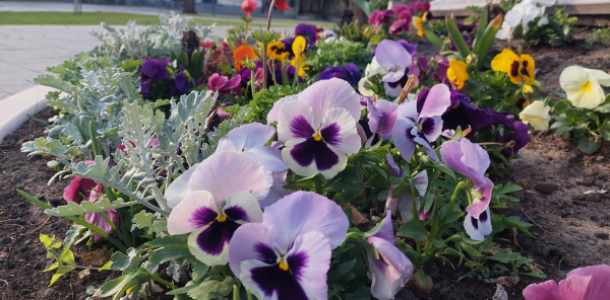 Polgármesteri felhívás