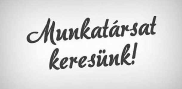 Munkalahetőség! ‼️‼️‼️