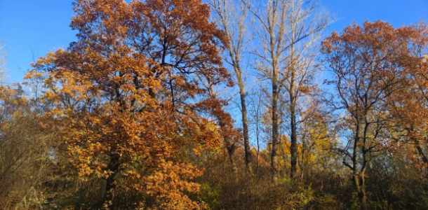 Föld Napja: Április 22.