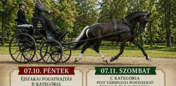 Abonyi Fogathajtó verseny